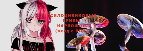 дурь Абаза