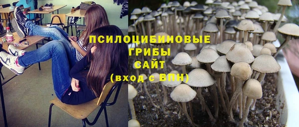 мет Осташков